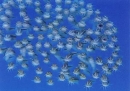 pc20.JPG