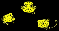 t-minahakomae.jpg