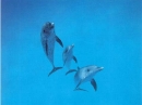 calender2006-081.JPG