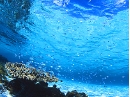 calender2007-041.jpg