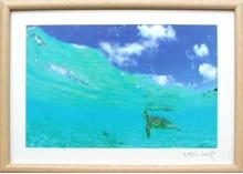 gaku-umigame.jpg