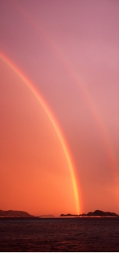 rainbow_born.jpg