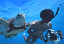 02kindonturtlel.jpg
