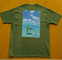 turtle_green.jpg