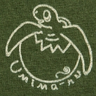 turtle_logog.jpg