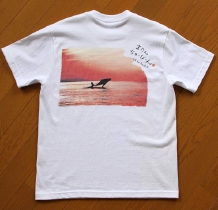 b_whale_w.jpg