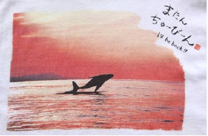 b_whale_back.jpg