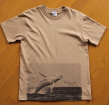 whale_front.jpg