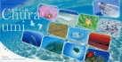 calender2010T.jpg