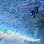 misujibow.jpg