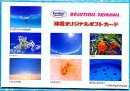 card311.jpg