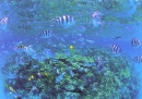 pc02.JPG